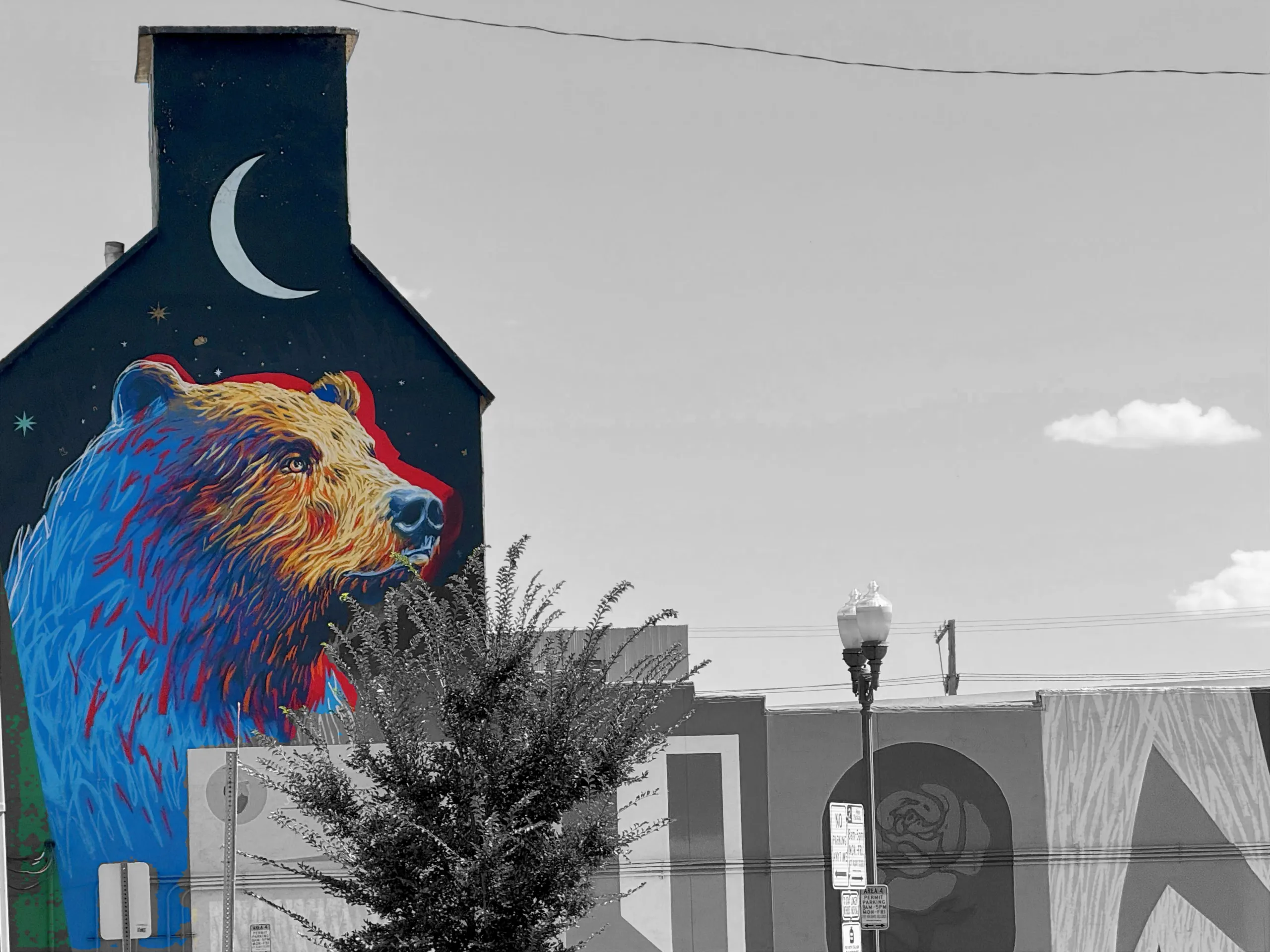 Color mural of bear head with black and white surroundings